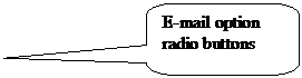 Rounded Rectangular Callout: E-mail option radio buttons